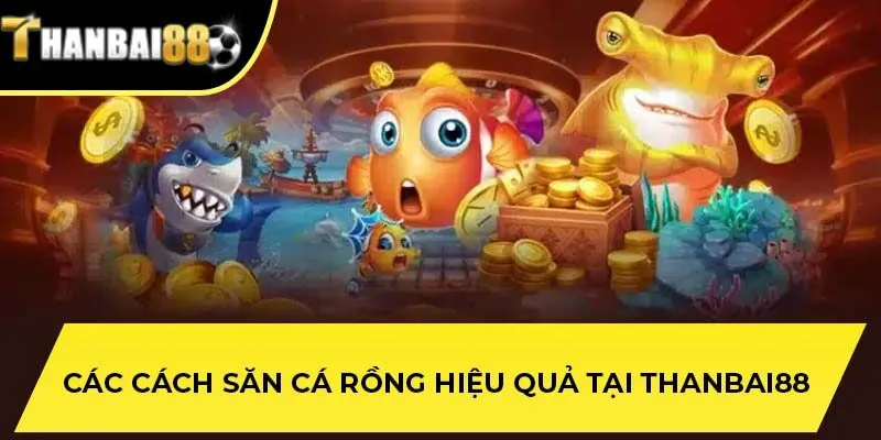 Các cách săn cá rồng hiệu quả tại THANBAI88
