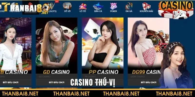 Đừng bỏ qua Casino với những trải nghiệm thú vị