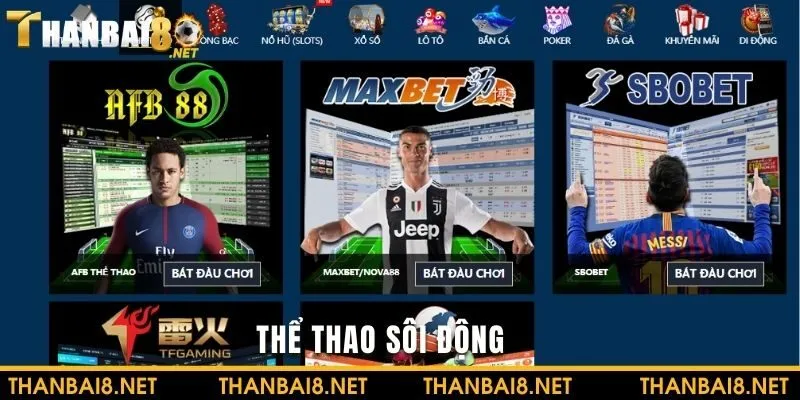 Cá cược cùng Thể thao sôi động và ấn tượng
